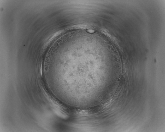 X0000067490062200604071214