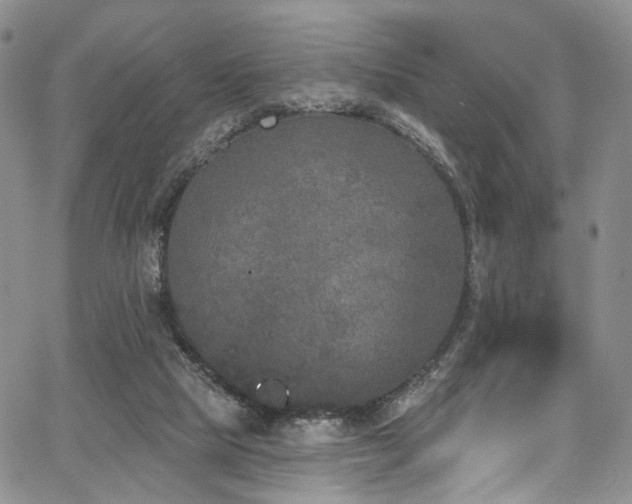 X0000067490065200604071214