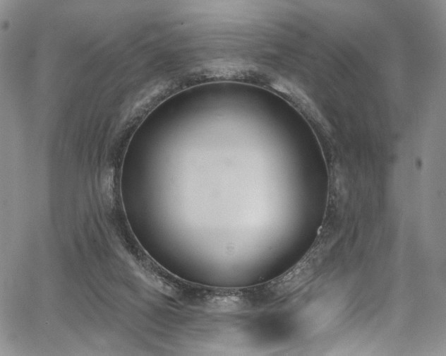 X0000067490066200604071214