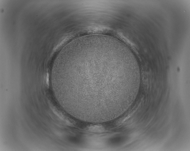 X0000067490067200604071214