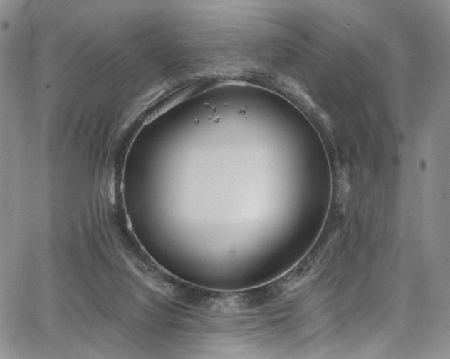 X0000067490068200604071214