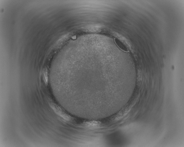 X0000067490069200604071214