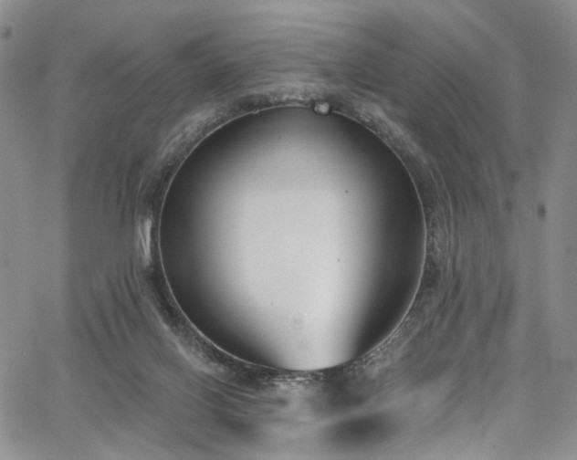 X0000067490070200604071214