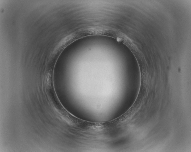 X0000067490071200604071214