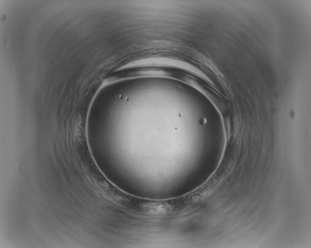 X0000067490073200604071214