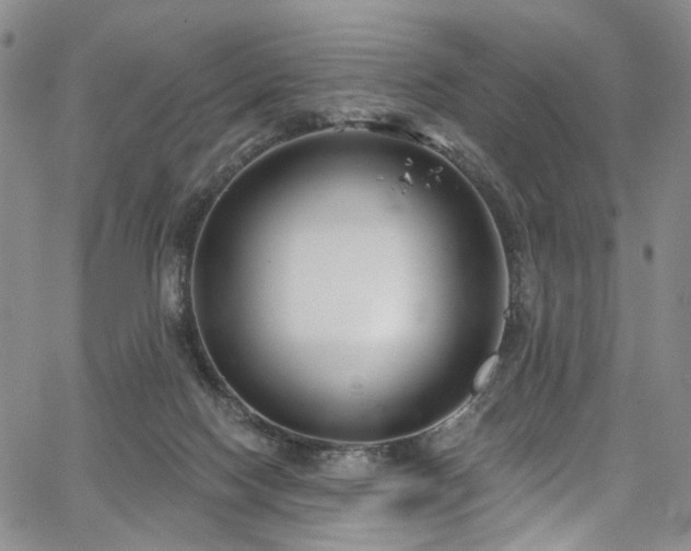 X0000067490074200604071214