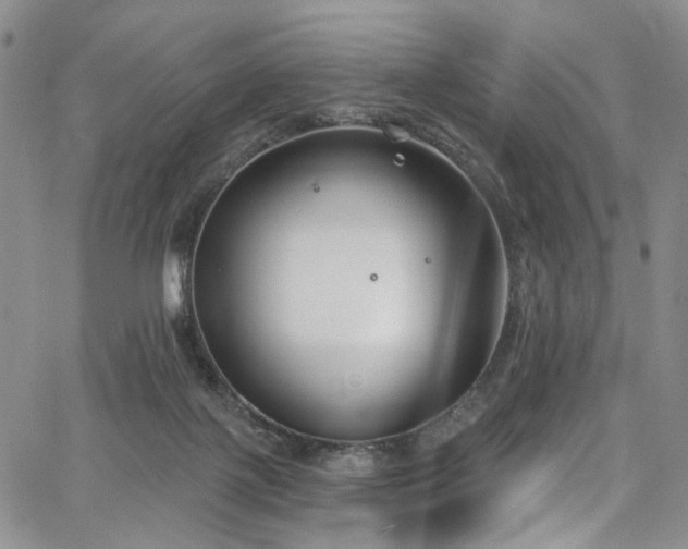 X0000067490075200604071214