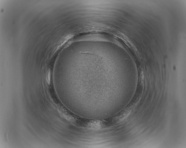 X0000067490076200604071214