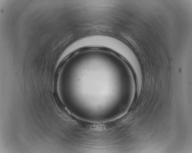 X0000067490077200604071215