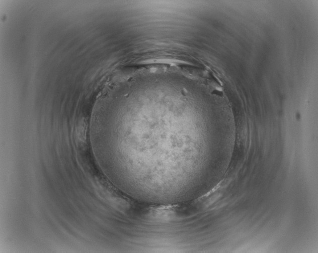 X0000067490078200604071215