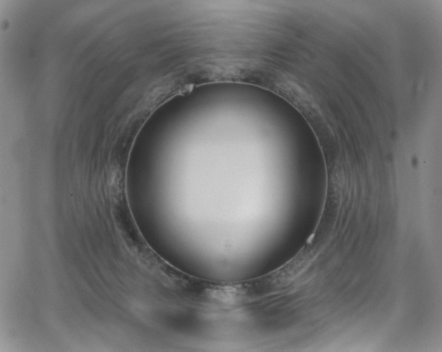 X0000067490079200604071215