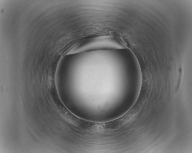 X0000067490080200604071215