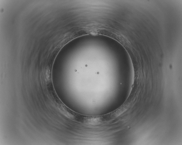 X0000067490081200604071215