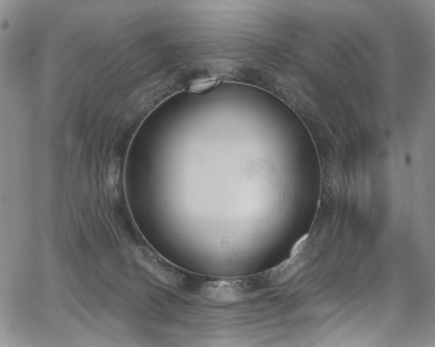 X0000067490082200604071215