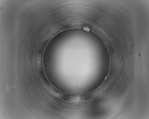 X0000067490083200604071215