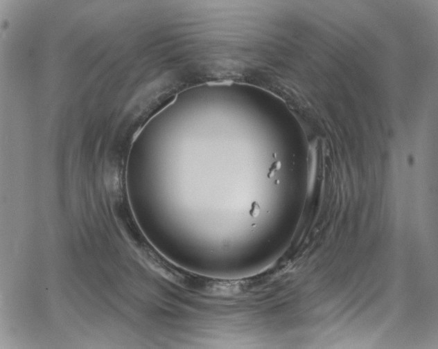 X0000067490084200604071215