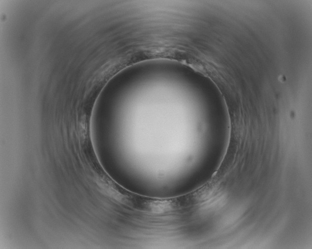 X0000067490085200604071215