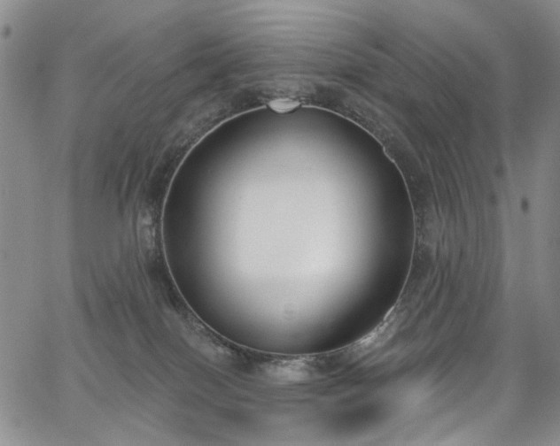 X0000067490086200604071215