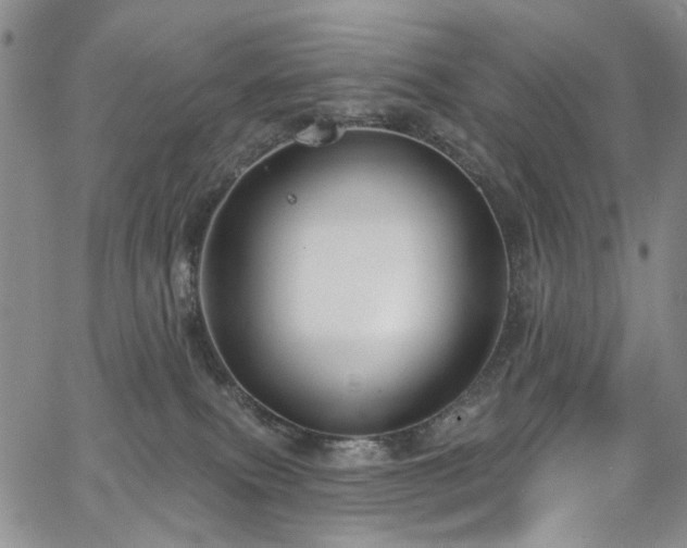 X0000067490087200604071215