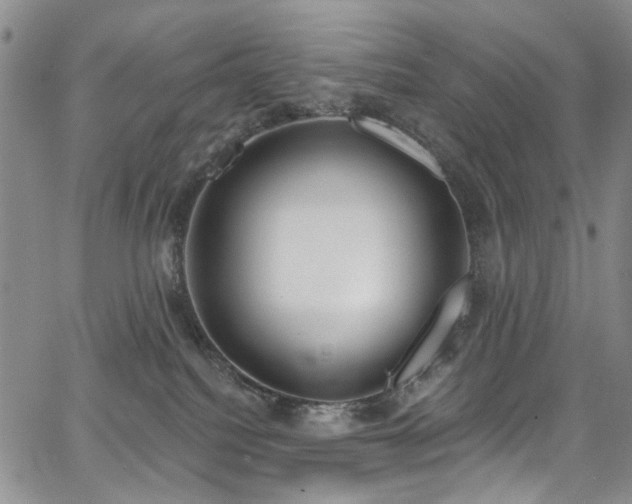 X0000067490088200604071215