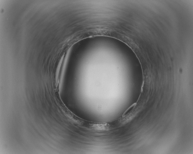 X0000067490089200604071215