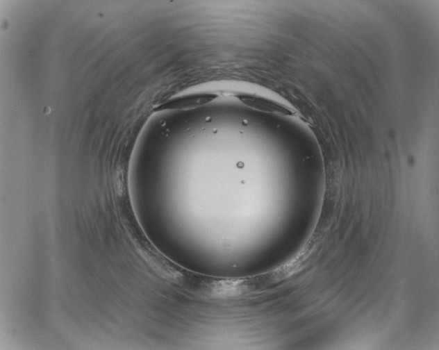 X0000067490090200604071215