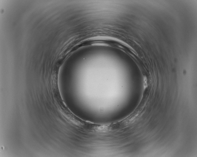 X0000067490092200604071215