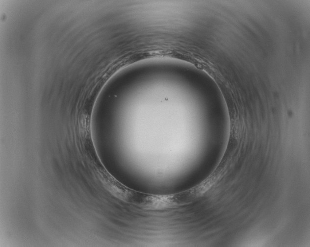 X0000067490093200604071215