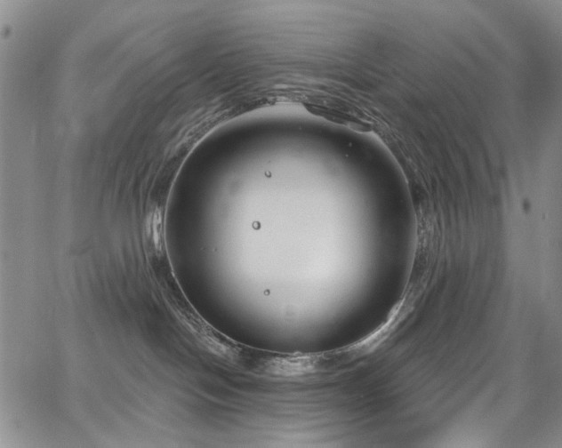 X0000067490094200604071215