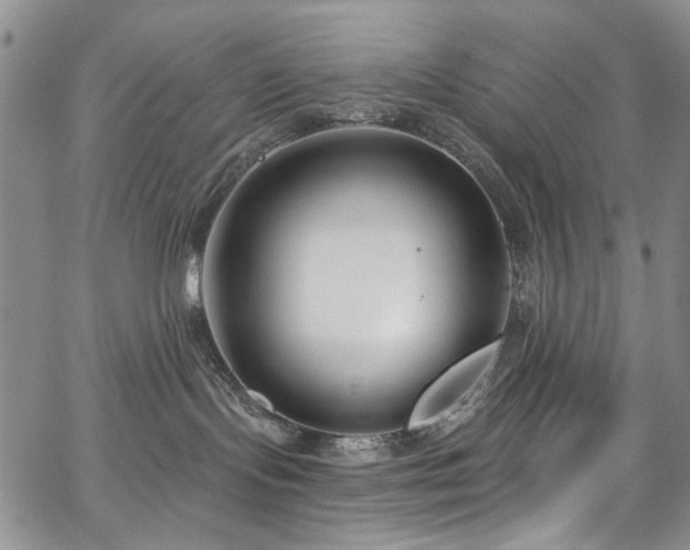 X0000067490095200604071215