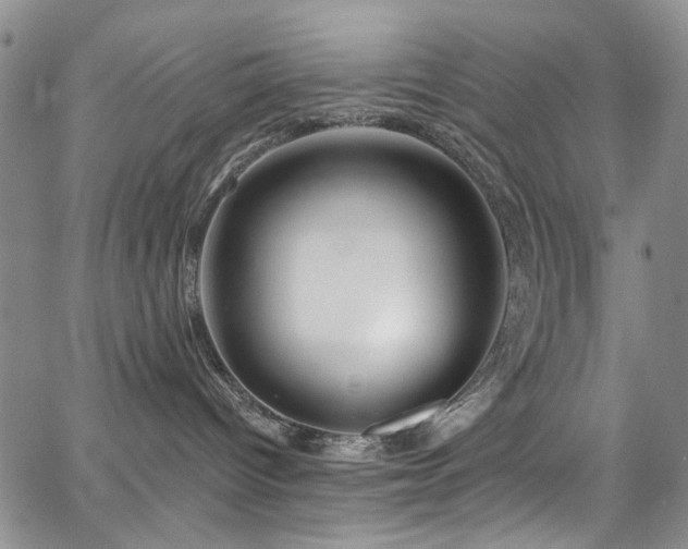 X0000067490096200604071215