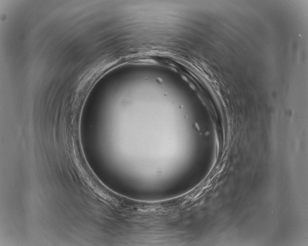 X0000067490097200604071214