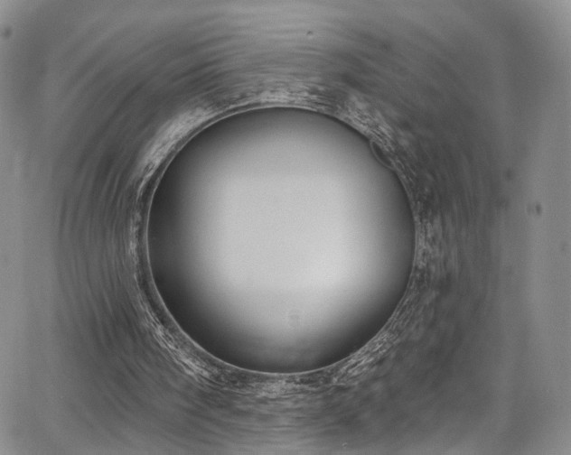 X0000067490098200604071214