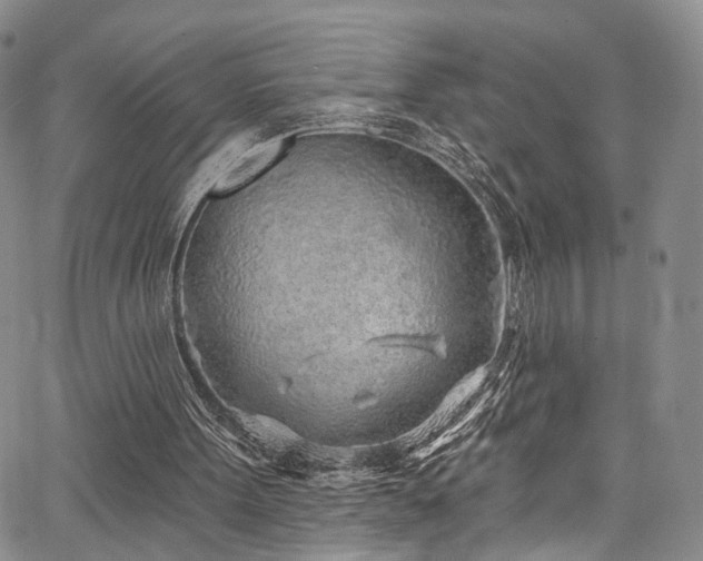 X0000067490099200604071214