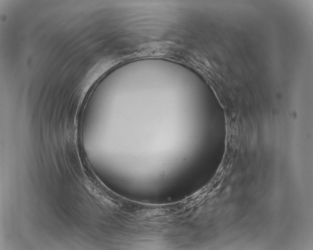 X0000067490100200604071214