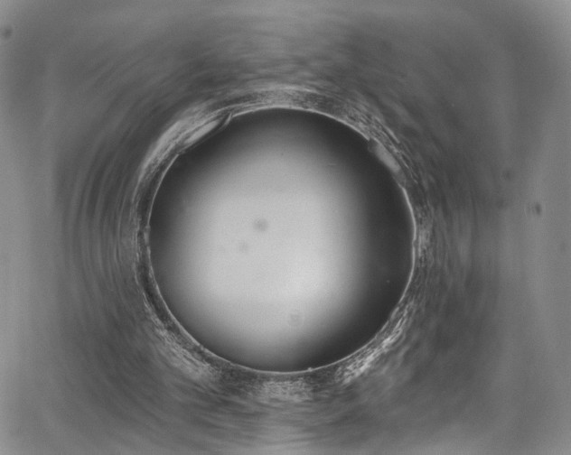 X0000067490101200604071214