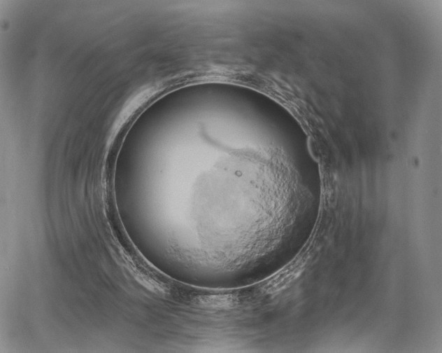 X0000067490102200604071214