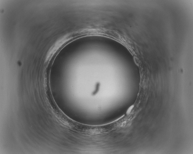 X0000067490103200604071214