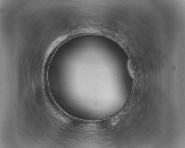 X0000067490104200604071214