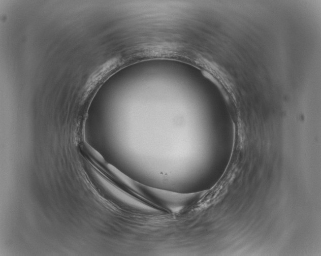 X0000067490105200604071214