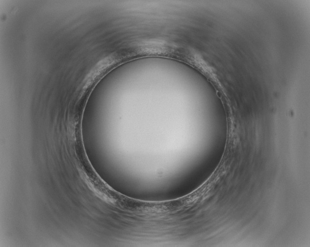 X0000067490106200604071214