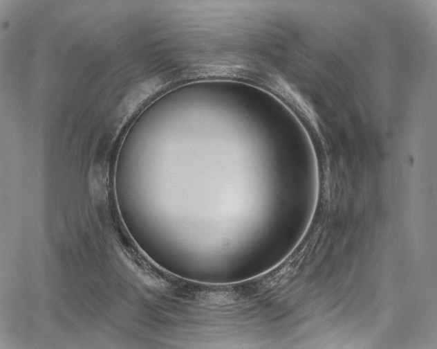 X0000067490107200604071214