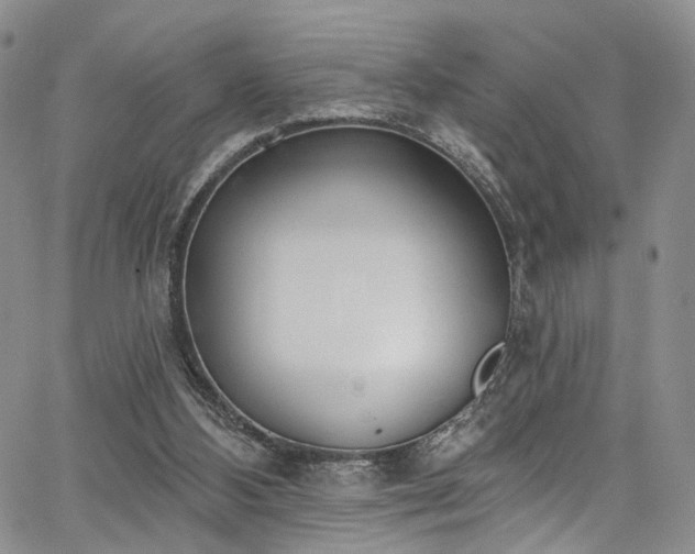 X0000067490108200604071214