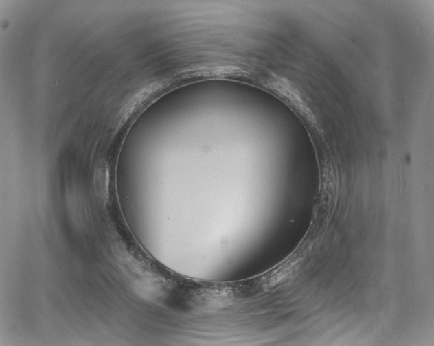 X0000067490110200604071214