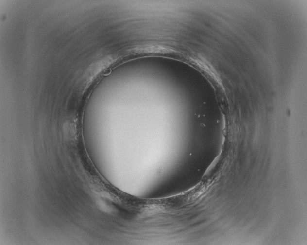 X0000067490111200604071214