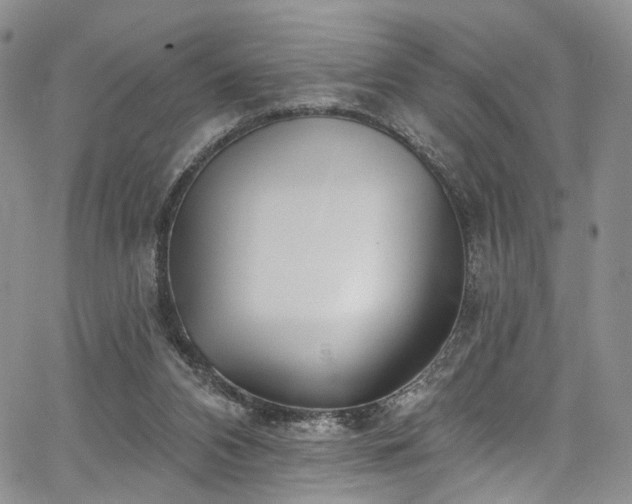 X0000067490112200604071214