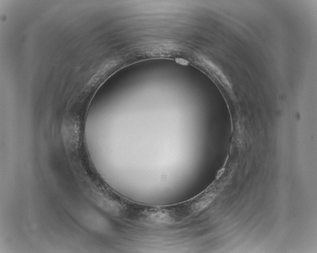 X0000067490113200604071214