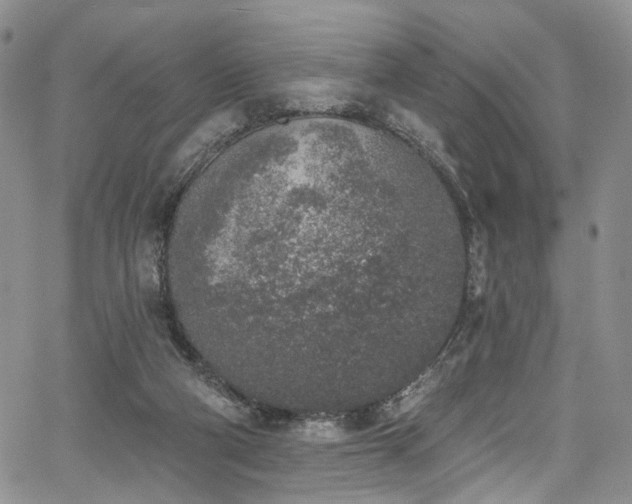 X0000067490114200604071214