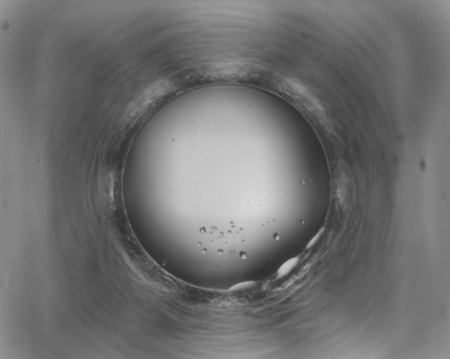 X0000067490115200604071214