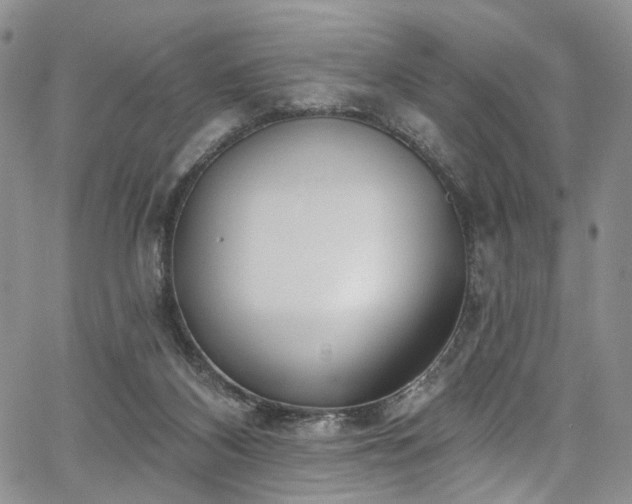 X0000067490116200604071214